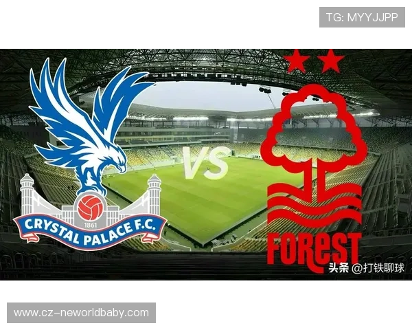 水晶宫俱乐部：英超黑马崛起背后的战术创新与文化传承