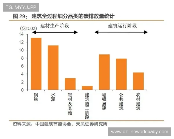聚焦萨勒尼塔纳俱乐部的历史传承与未来发展前景深度探析研究展望